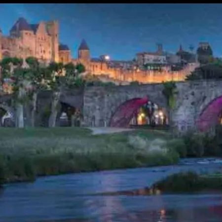 Appartement T2 Avec Vue Chateau Carcassonne Exterior foto
