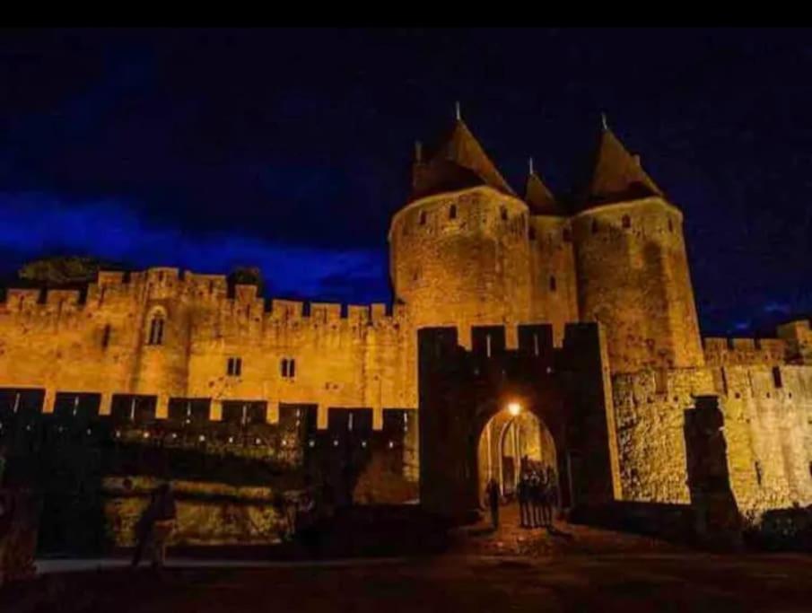 Appartement T2 Avec Vue Chateau Carcassonne Exterior foto