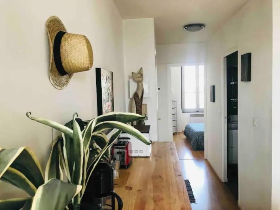 Appartement T2 Avec Vue Chateau Carcassonne Exterior foto