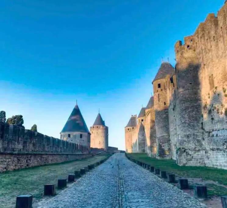 Appartement T2 Avec Vue Chateau Carcassonne Exterior foto
