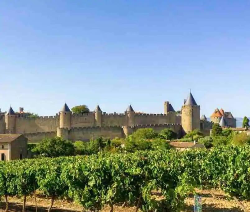 Appartement T2 Avec Vue Chateau Carcassonne Exterior foto